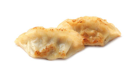 Tasty fried gyoza dumplings isolated on white