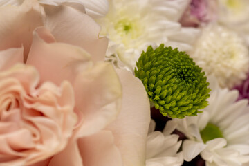 a bouquet of a large number of white flowers for a gift