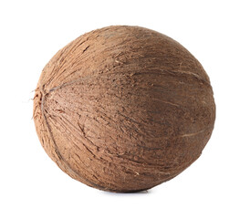 One whole coconut in shell isolated on white