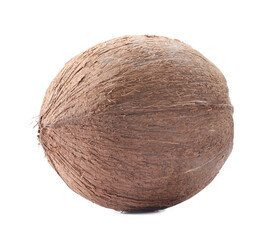 One whole coconut in shell isolated on white