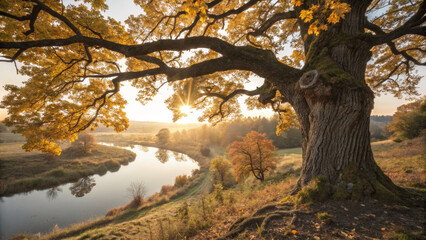 Fototapeta premium serene autumn landscape featuring large tree with golden leaves, reflecting on river