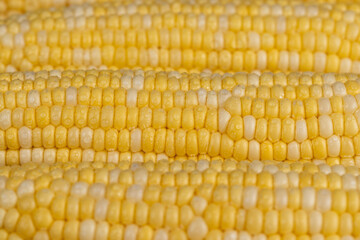 peeled corn cob with yellow and white seeds of different sizes and shades