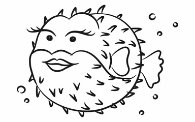 Hand Drawing Illustration Beauty Porcupinefish