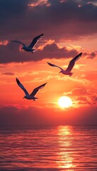 Sunset Seagulls Soaring Dramatic Skies