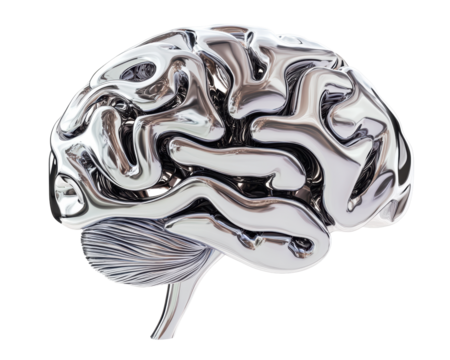 Isolated Chrome Brain Model Representing Intellect