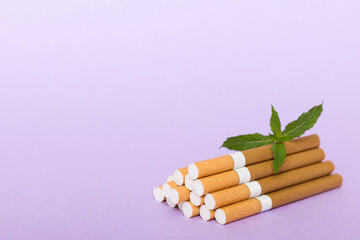 Menthol cigarettes and fresh mint leaves on colored background, Many cigarettes stacked together top view flat lay