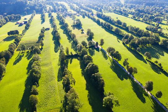 Natural monument hedge landscape on sunny day at Gaissach, Lenggries, Isarwinkel, Upper Bavaria, Bavaria, Germany