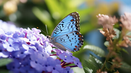 Fototapeta premium butterfly with flowers on nature background