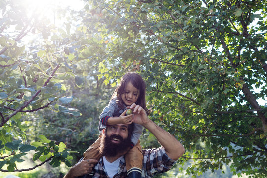Father with kid on his shoulders in an orchard