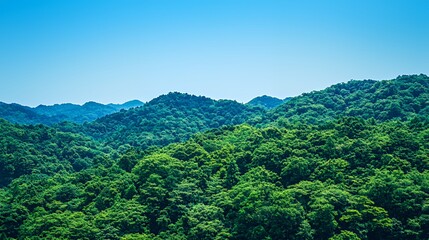 Lush Green Hills Under a Clear Blue Sky