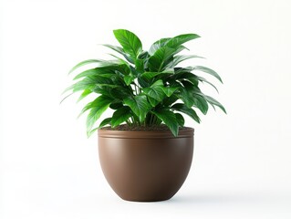 Self-Watering Plant Pot isolated on white background