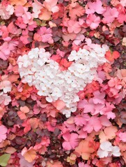 A heart shape created with white flowers on a bed of pink and red autumn leaves. Romantic and beautiful nature scene.
