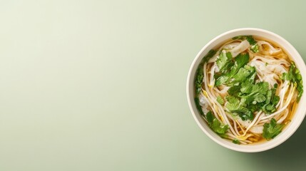 Fresh noodle bowl garnished with vibrant herbs on soft green bac