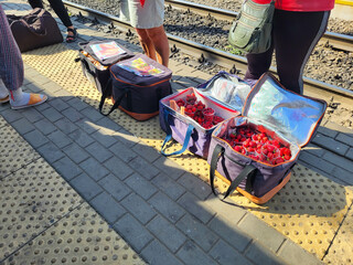 Sale of berries, pies and various food near the wagons at the station in thermos bags
