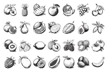 Set of fruits vector illustrations - hand drawn fruits - black and white fruits isolated on white background