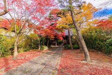 Naklejka premium 輪王寺 晩秋 