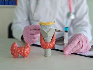 Medical professional demonstrates thyroid anatomy with models and syringe