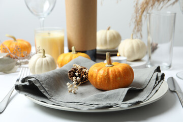 Rustic holiday table setup with plates, cutlery and autumn decorations