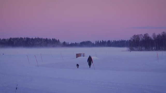 Person and a Dog Walking Through Snowy, Mist-Covered Landscape at Dusk, Path on Frozen Lake, Serene Pink and Purple Sky in Pite&aring;, Northern Sweden, Cold Arctic Nordic Winter Atmosphere in the Outdoors