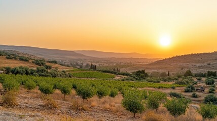Naklejka premium Serene sunset over fertile farmland with verdant fields and distant hills