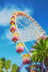 Fototapeta premium A tall Ferris wheel and palm trees on a sunny day