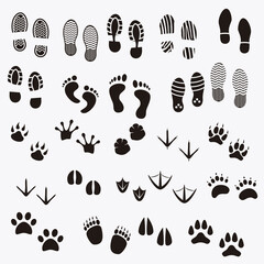 Footprints shadows animals human 01