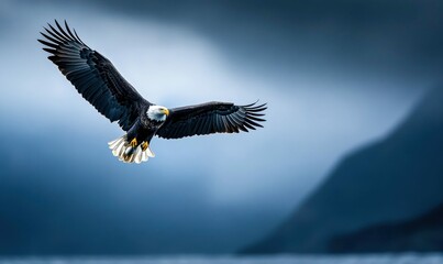 Majestic Bald Eagle Soaring Over Misty Mountain Landscape