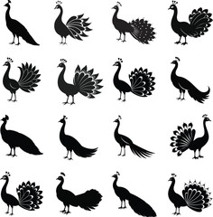 Naklejka premium set of peacock silhouette vector 