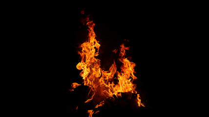 A mesmerizing close-up of a blazing fire against a dark background