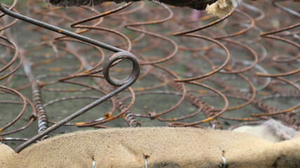 Rusty metal bedspring with intricate coil patterns