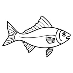 Mackerel black and white line drawing suitable for coloring book, fish packaging design, or marine life educational materials