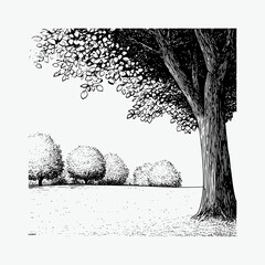 black and white vector line drawing, trees in extremely fine detail