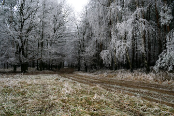 Winter inversion in the foothills, Czech Republic