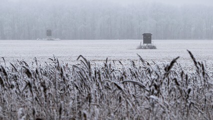 Winter inversion in the foothills, Czech Republic