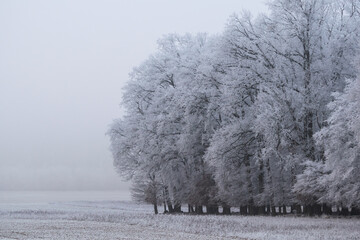 Winter inversion in the foothills, Czech Republic