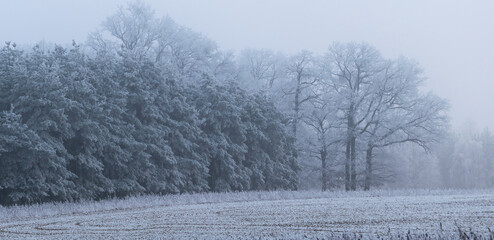 Winter inversion in the foothills, Czech Republic