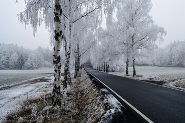 Winter inversion in the foothills, Czech Republic