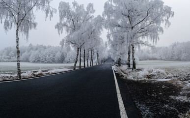 Winter inversion in the foothills, Czech Republic