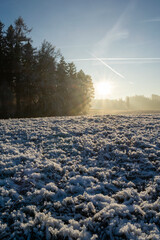 Winter inversion in the foothills, Czech Republic