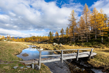 Foliage at Alpe Devero Natural Park, Piedmont, Italy