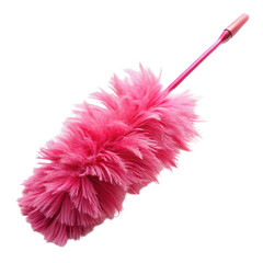 Pink feather duster isolated on transparent background  
