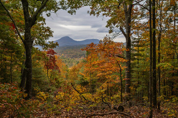 Fall scenery along the trails in Smithgall-Woods State Park, near Helen Georgia