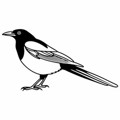 bird on a branch
