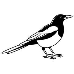 Obraz premium bird on a branch