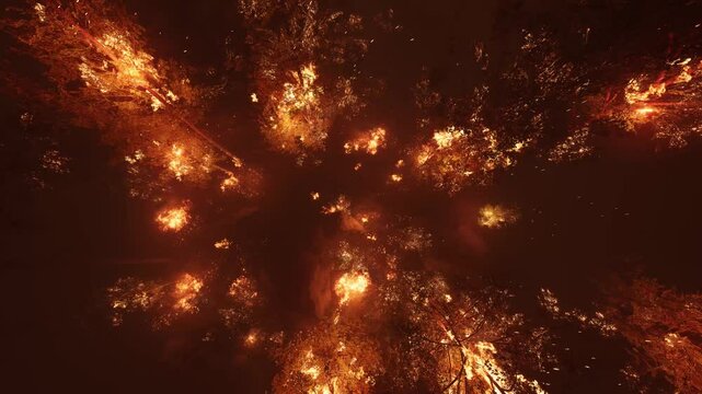 Night forest fire. Unique overhead view of blazing trees.