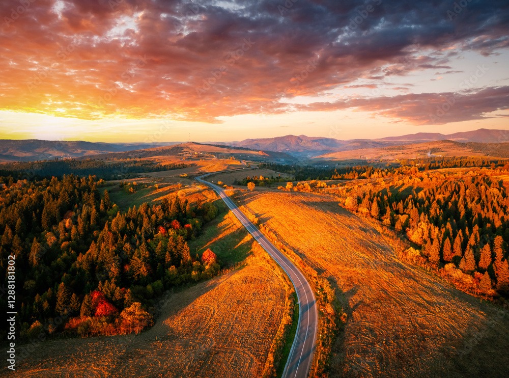 Poster drone flies over a road that runs through a coniferous forest.