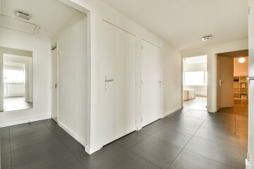 Stylish modern interior entrance hall