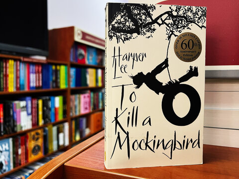 Cover of To Kill a Mockingbird by Harper Lee in a bookstore