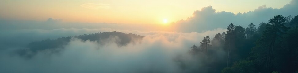 Dense fog slowly lifts revealing soft sunlight filtering through trees, serene ambiance, nature scenery
