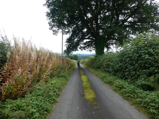 Naklejka premium Quiet Country Lane